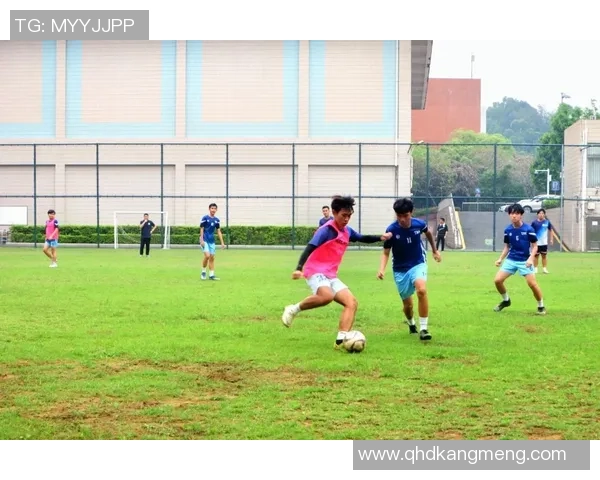 提升足球训练效果的必备工具足球训练垫的选择与使用指南